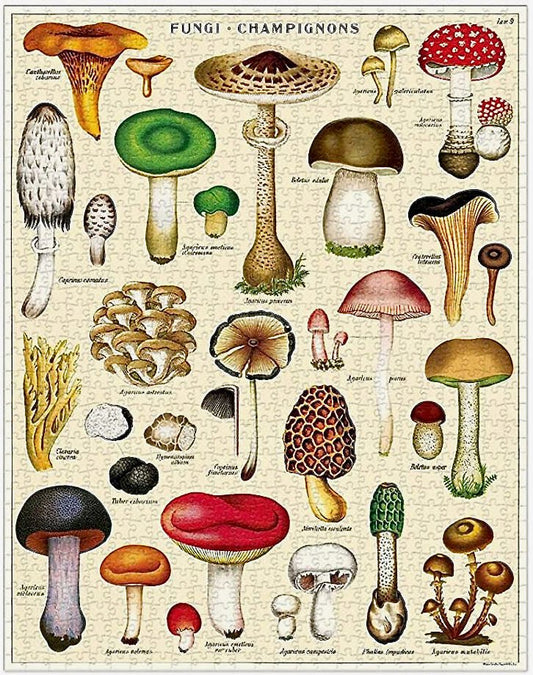 French Mushroom Chart 1000-piece Jigsaw Puzzle - Marmalade Mercantile