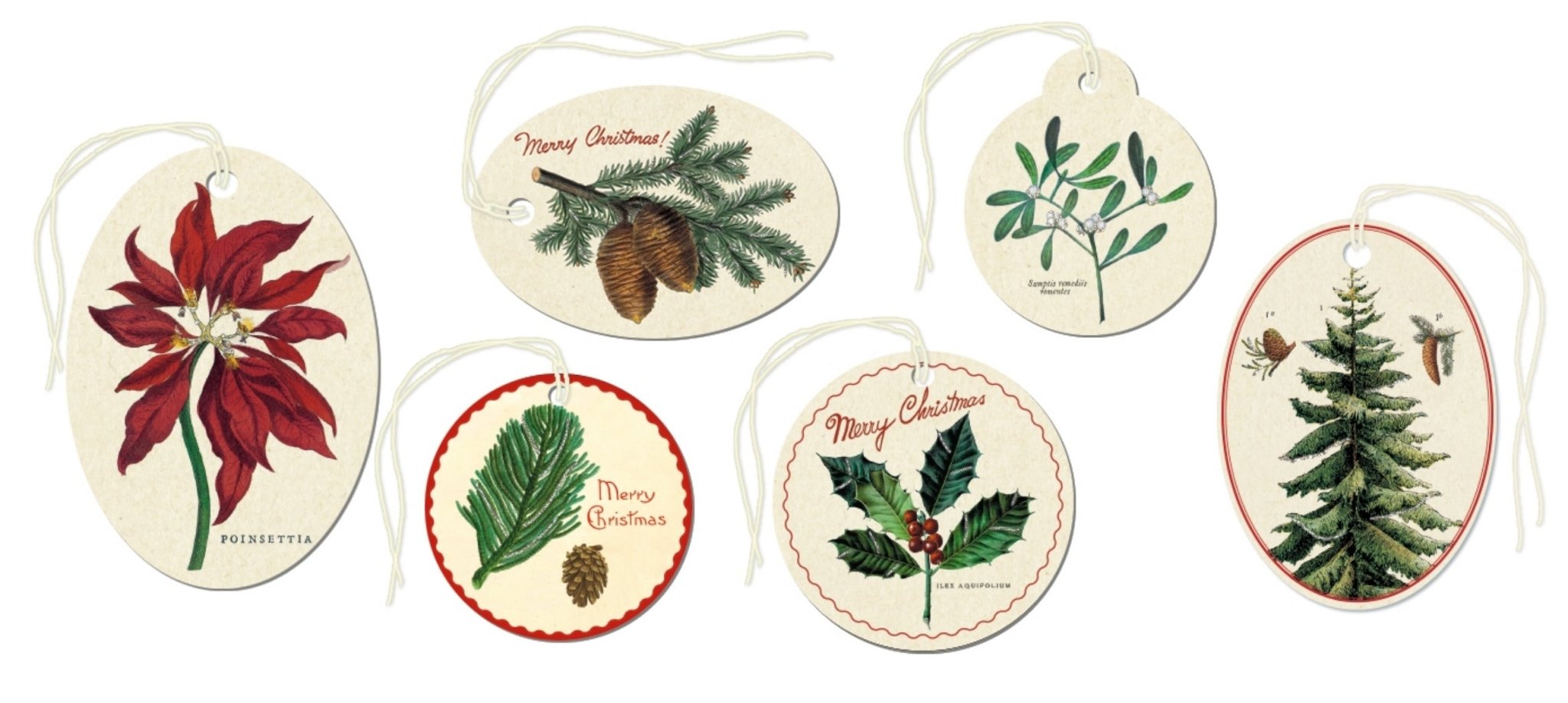 Glittered Christmas Botanica Gift Tags - Marmalade Mercantile