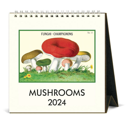 Mushroom Champignons 2024 Desk Calendar - Marmalade Mercantile