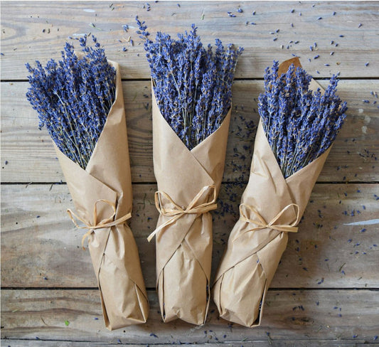 Natural French Lavender Bundle in Paper - Marmalade Mercantile