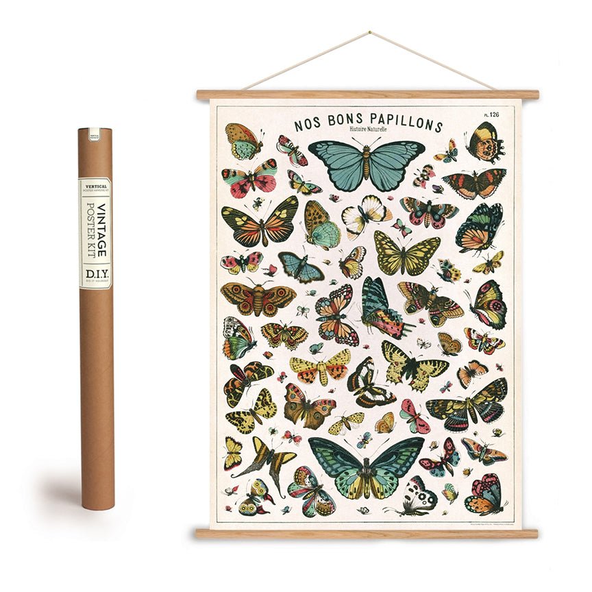 Natural History of Butterflies Papillons Art Poster + Hanging Kit - Marmalade Mercantile