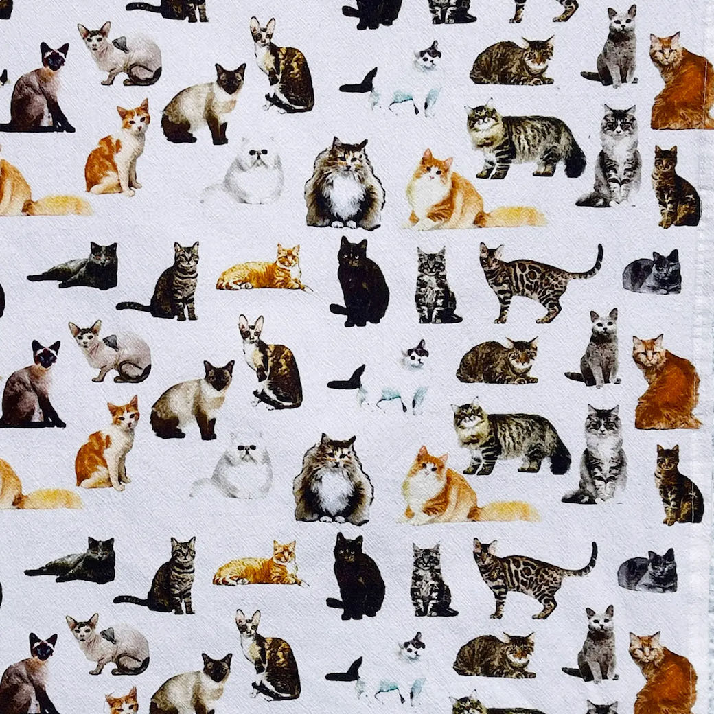 Never Too Many Cats Flour Sack Kitchen Towel - Marmalade Mercantile