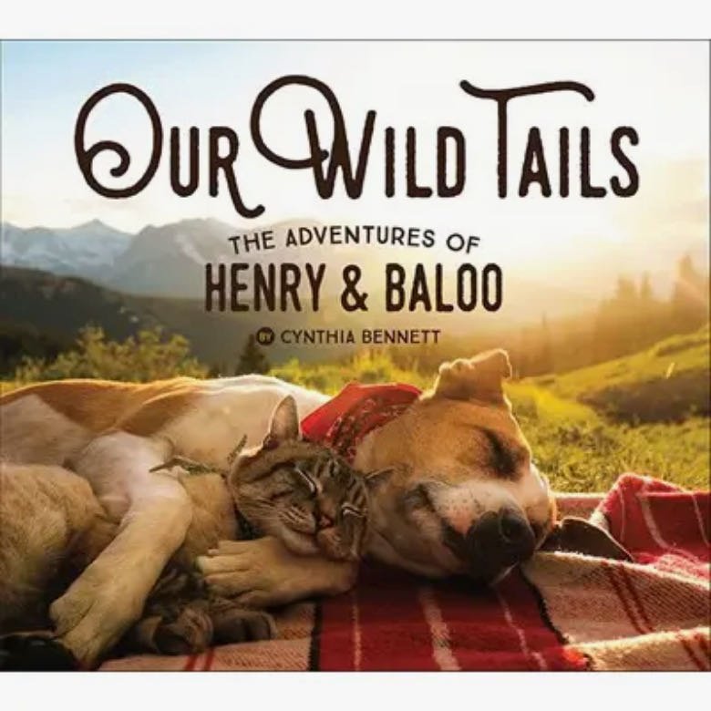 Our Wild Tails: The Adventures o Henry & Baloo - Marmalade Mercantile