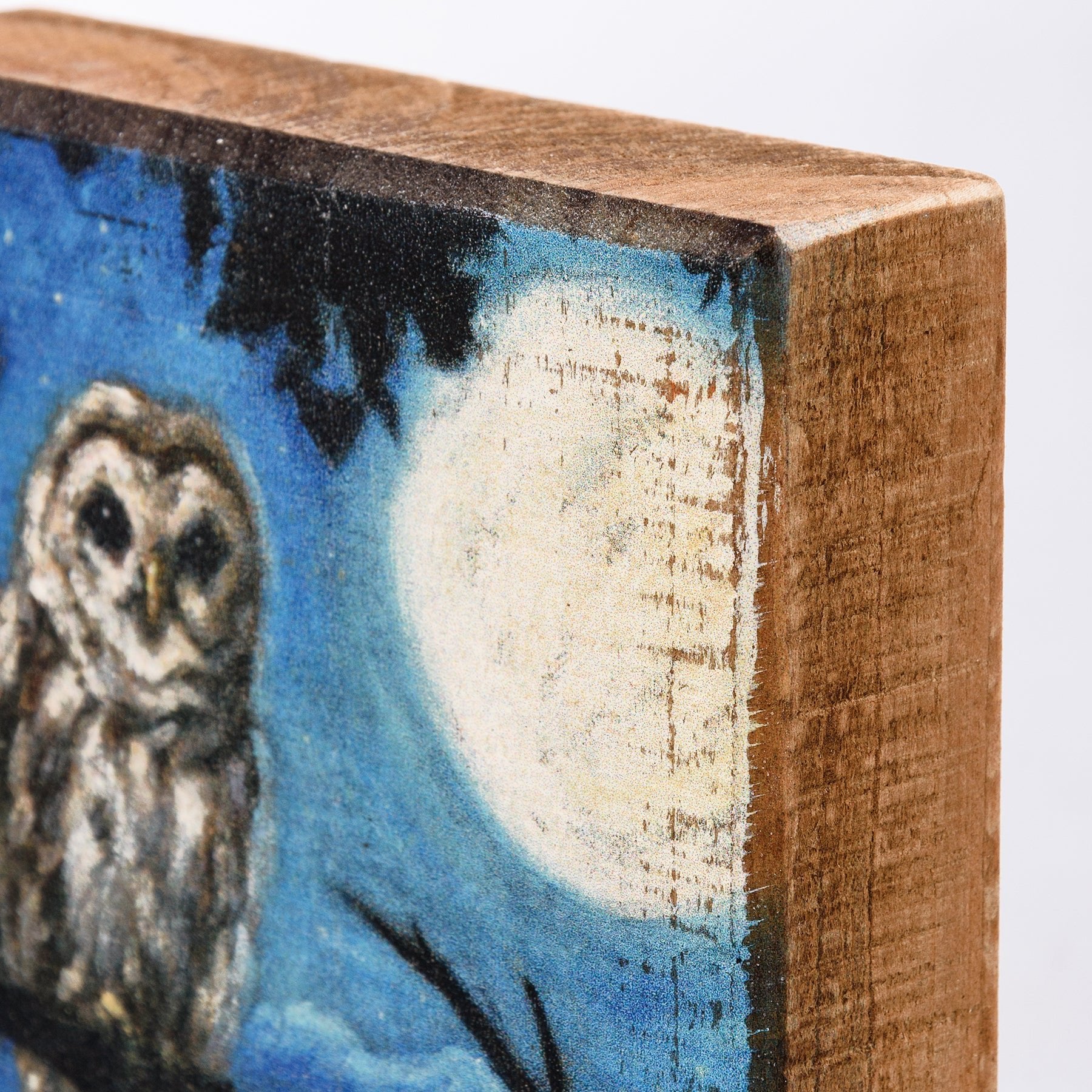 Petite Rustic Wooden Block Sign Halloween Owl & Full Moon - Marmalade Mercantile