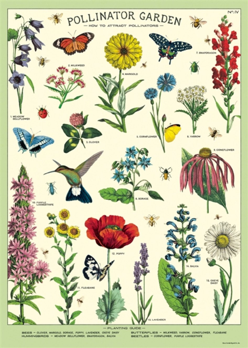 Pollinator Garden Chart Art Poster + Hanging Kit - Marmalade Mercantile