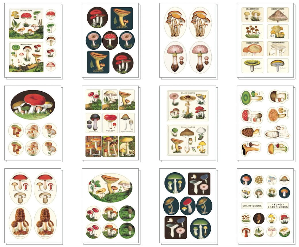 Set of 100+ Vintage-Style Adhesive Mushroom Stickers - Marmalade Mercantile