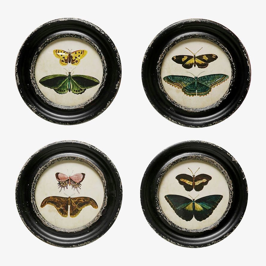 Set of Four Vintage Reproduction Round Framed Moths & Butterfly Prints - Marmalade Mercantile