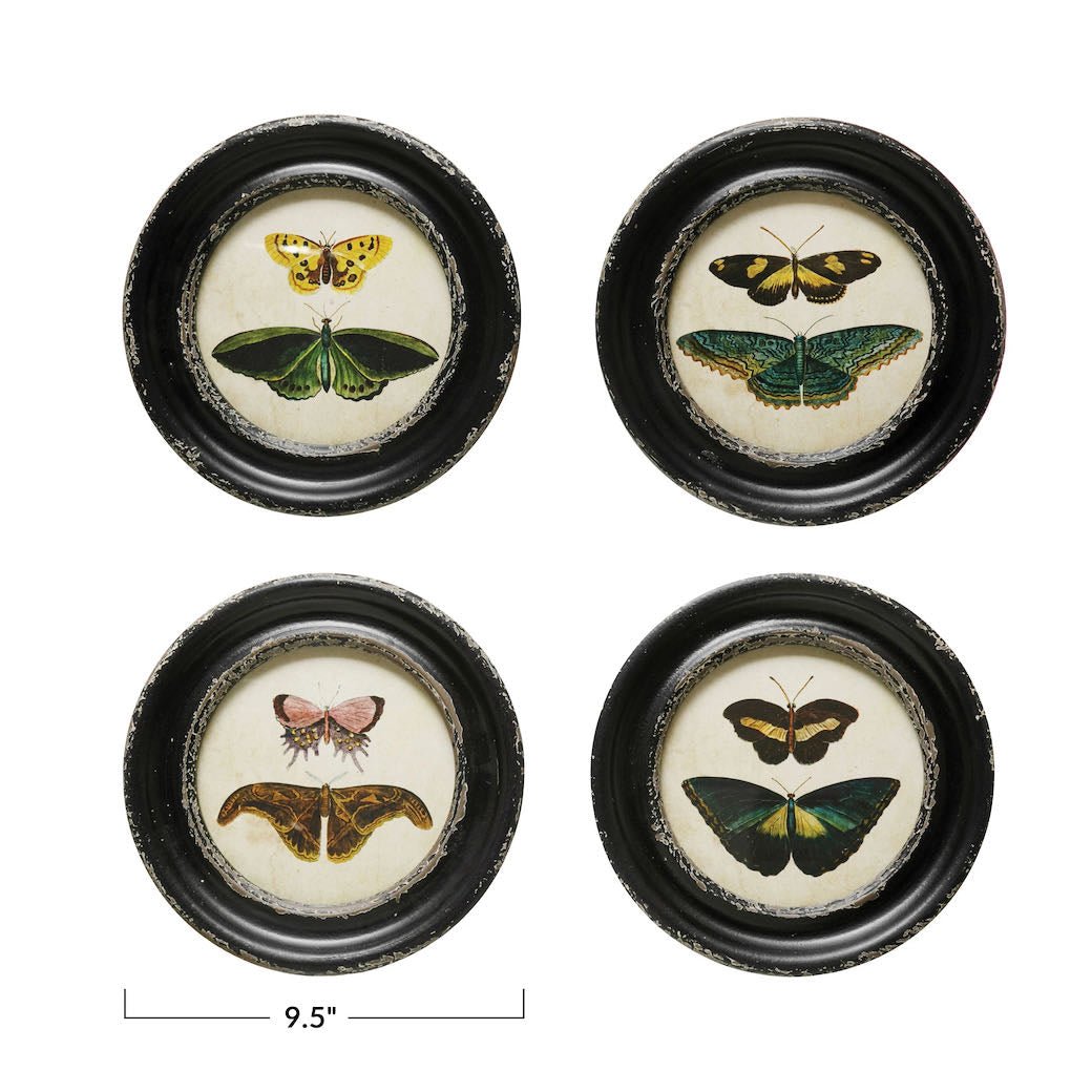 Set of Four Vintage Reproduction Round Framed Moths & Butterfly Prints - Marmalade Mercantile