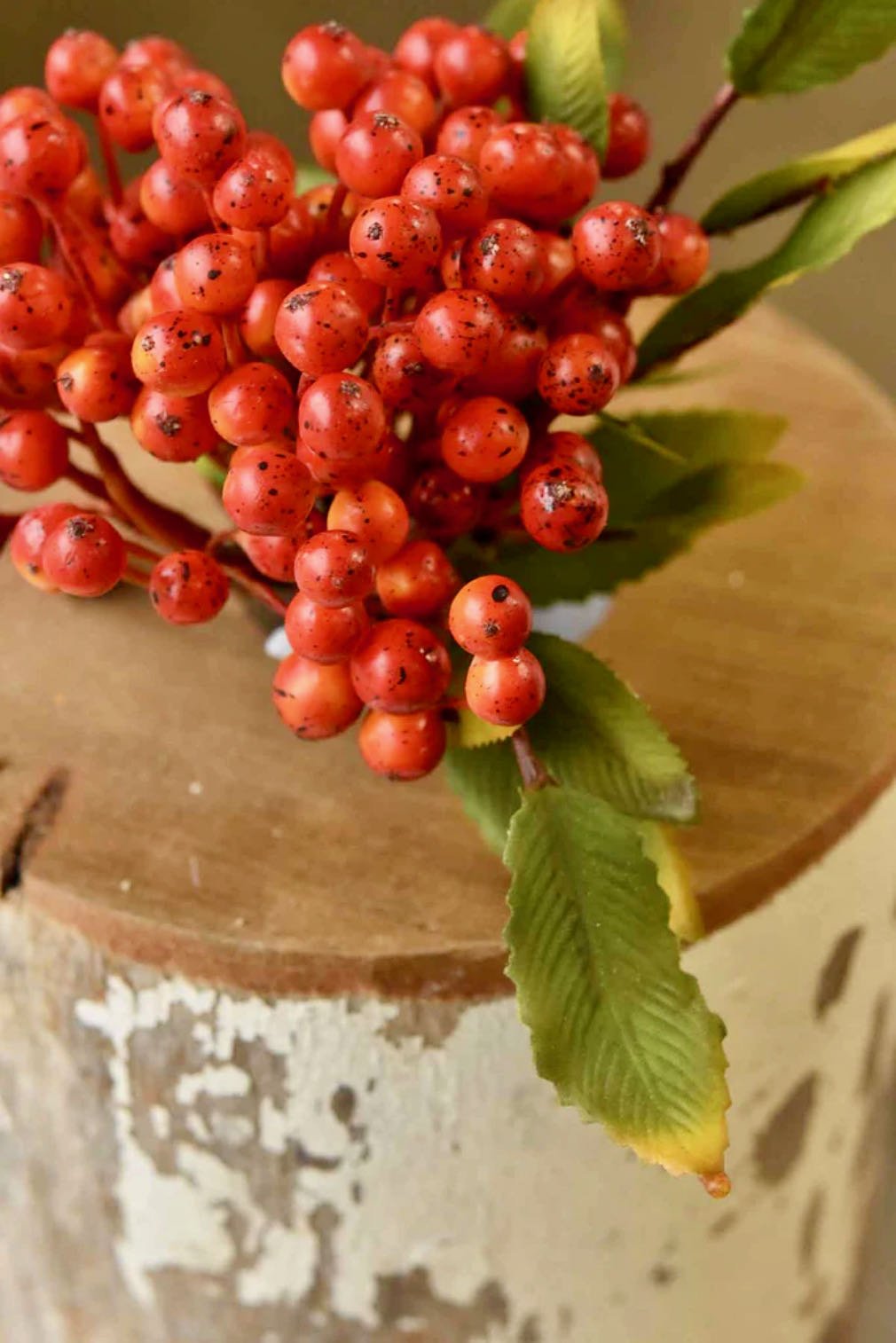 Set of Three Autumn Orange Clutch Berry Stems - Marmalade Mercantile