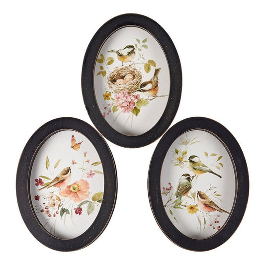Set of Three Framed Oval Bird Prints - Marmalade Mercantile