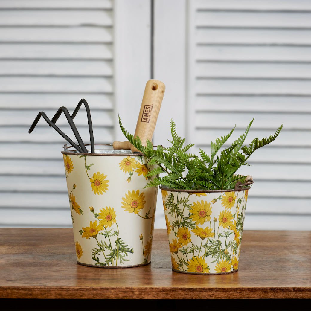 Set of Two Every Daisy Decorative Buckets - Marmalade Mercantile