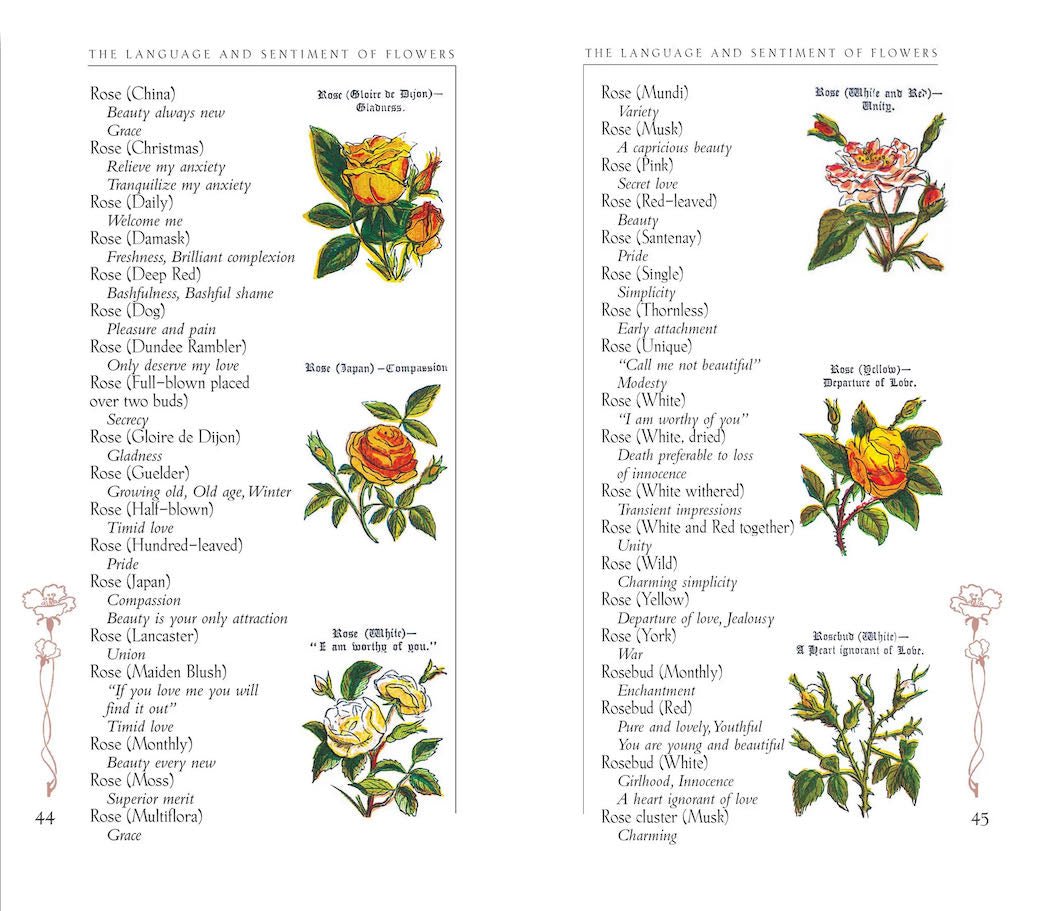 The Language and Sentiment of Flowers Illustrated Victorian Reproduction Book - Marmalade Mercantile