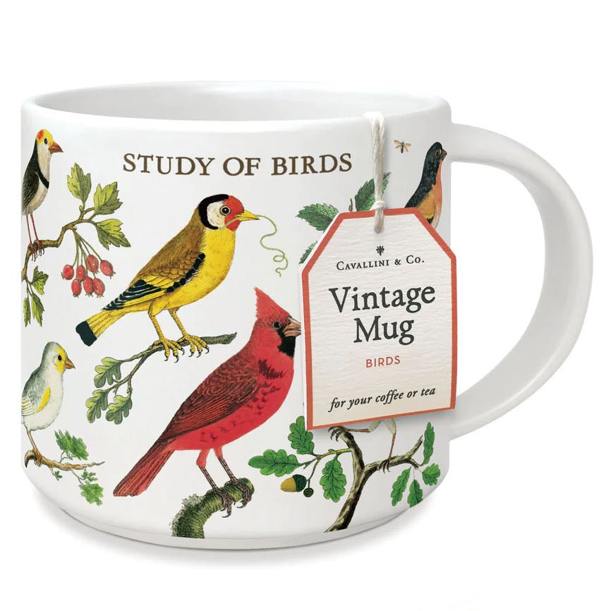 Vintage Style Study of Birds Mug 14 oz. - Marmalade Mercantile