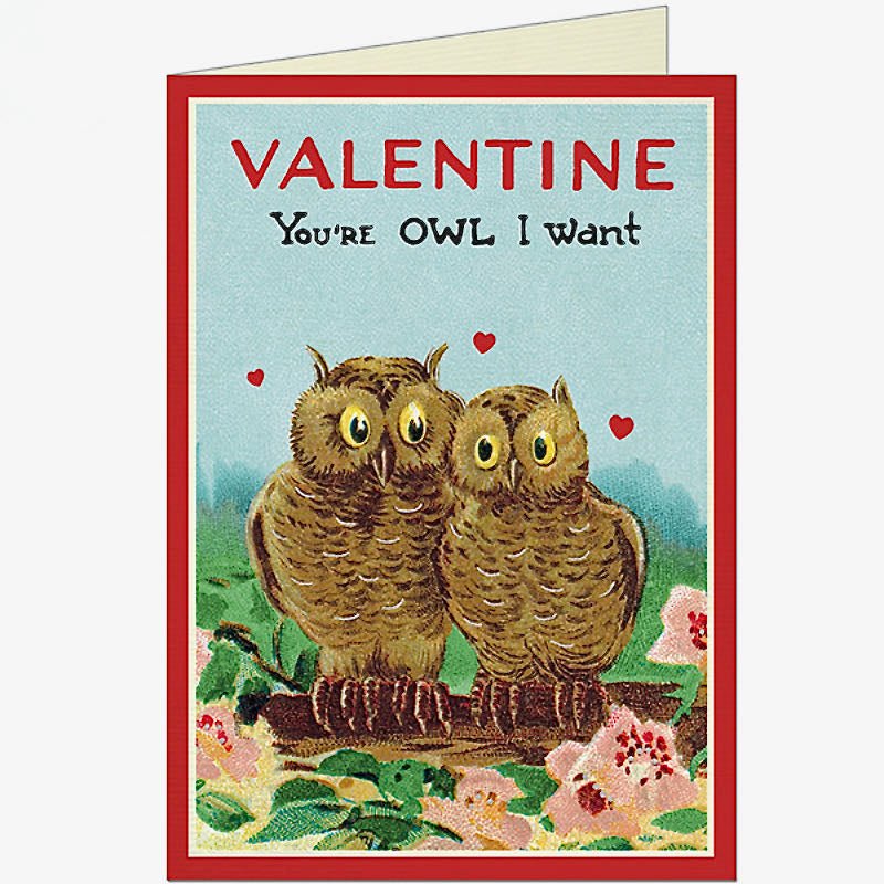 You're OWL I Want Vintage-Style Valentine Card - Marmalade Mercantile